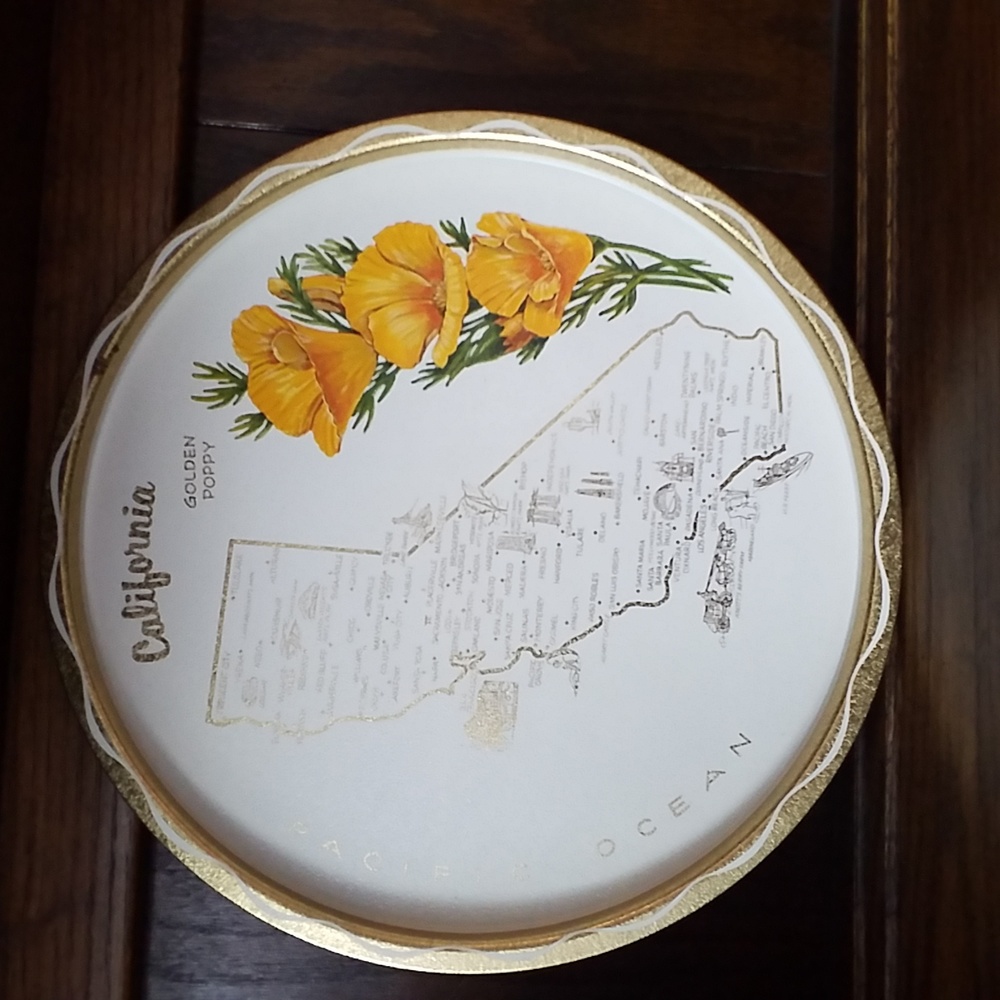 Decorative 1950`s Tinware Tray With California Motif